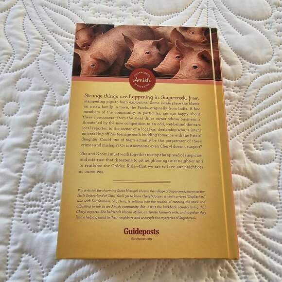 "Stranger Things Have Happened" By Amy Lillard Sugarcreek Amish Mysteries Paperb - Picture 2 of 4